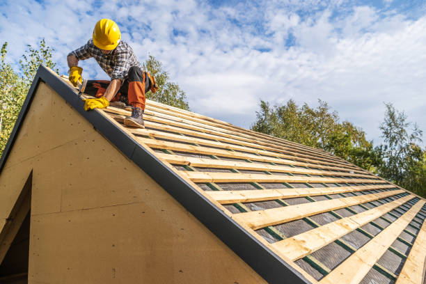 Best Roof Gutter Cleaning  in Hayden, CO