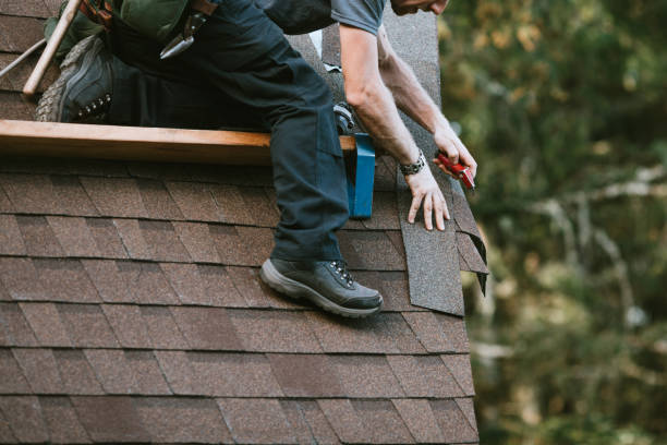Professional Roofing Contractor in Hayden, CO